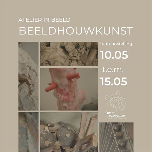 Beeldhouwkunst in Beeld