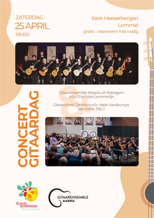 Gitaardag Concert