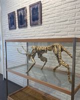 Projectatelier 7